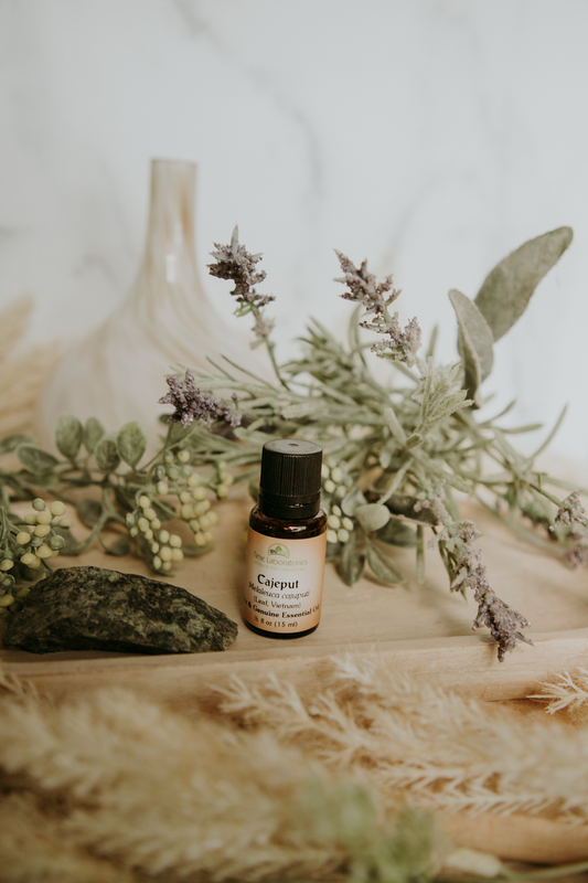 Cajeput Essential Oil - High Quality Aromatherapy