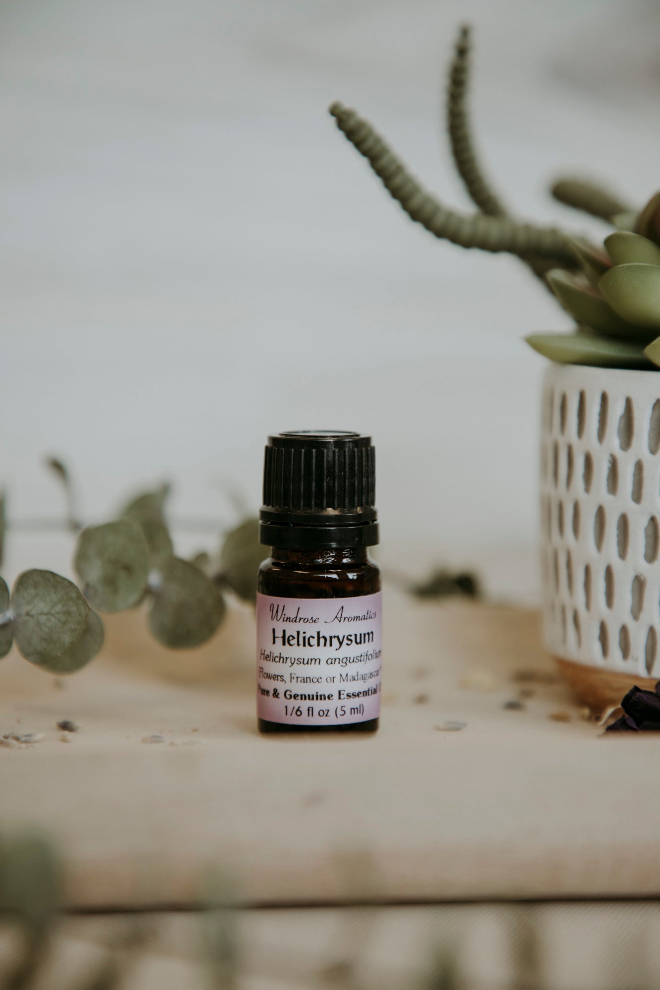 helichrysum essential oil