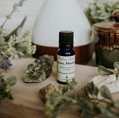 Mountain savory essential oil