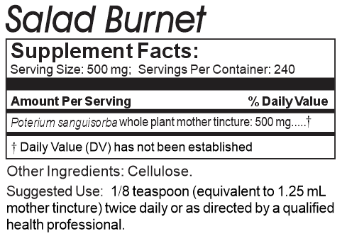 Salad Burnet Microspheres 120g - Natural Supplement