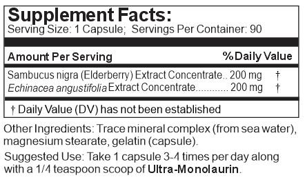 elderberry supplement