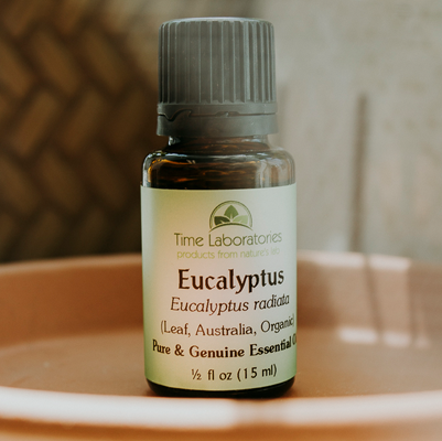 eucalyptus radiata essential oil