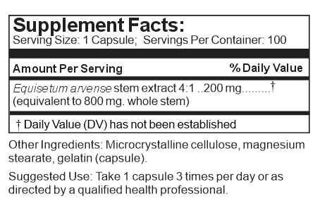 horsetail extract