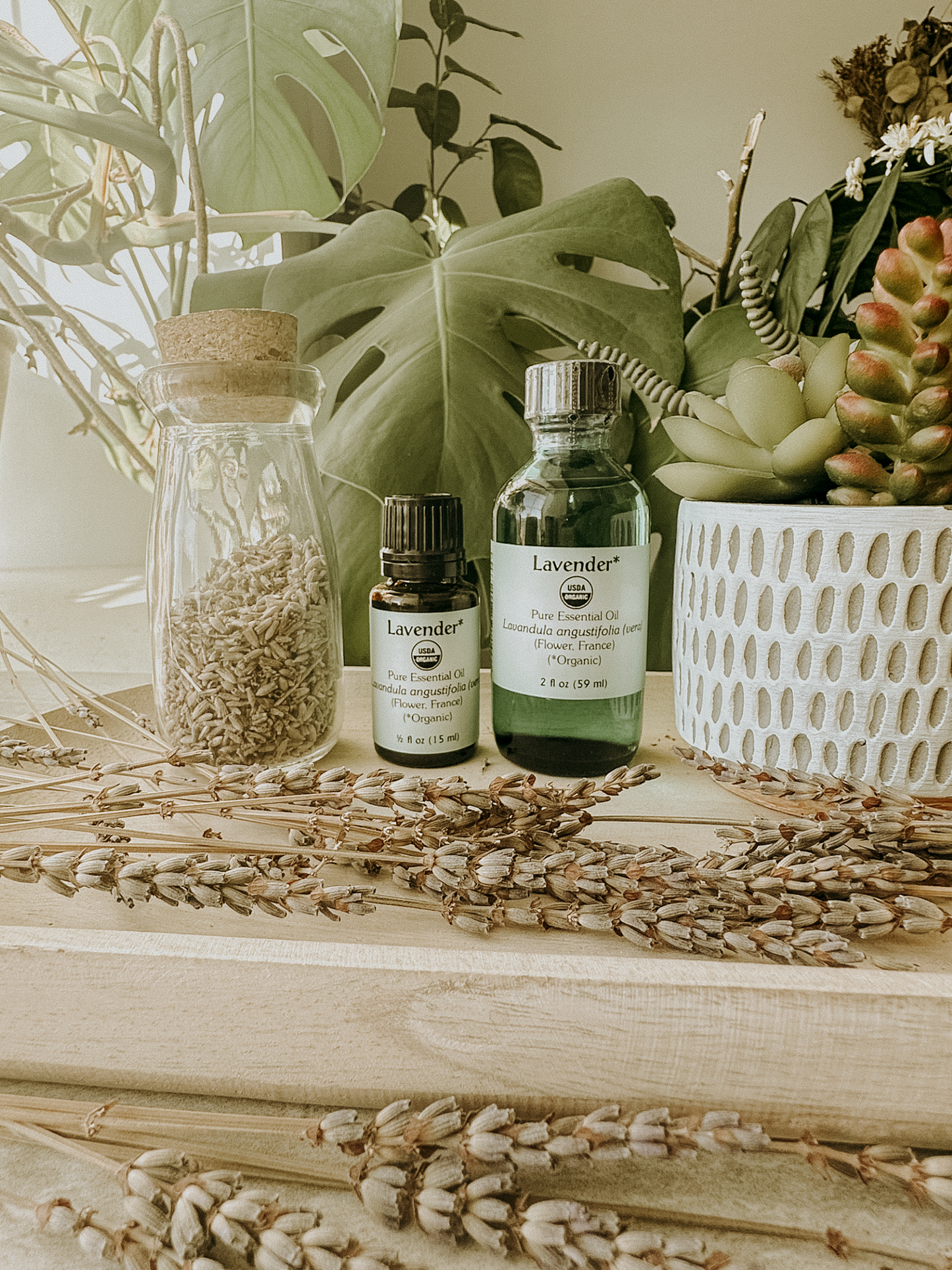 organic lavender french