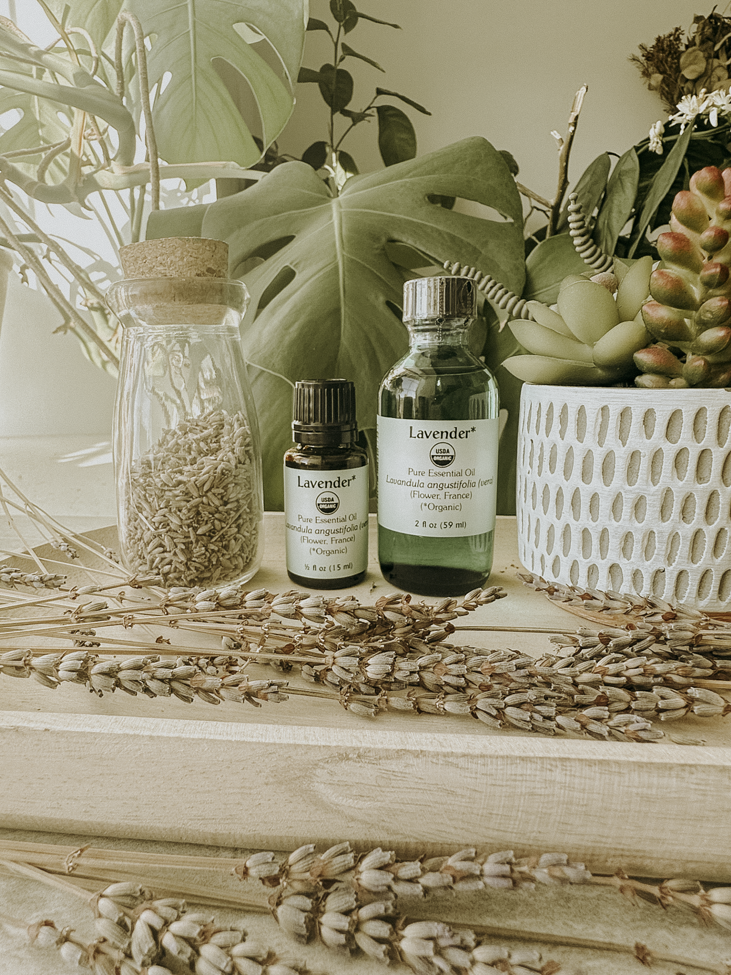 organic lavender french