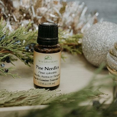 pine needles essential oil