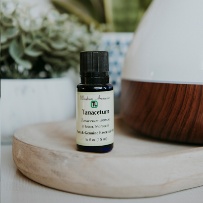 tannacetum essential oil