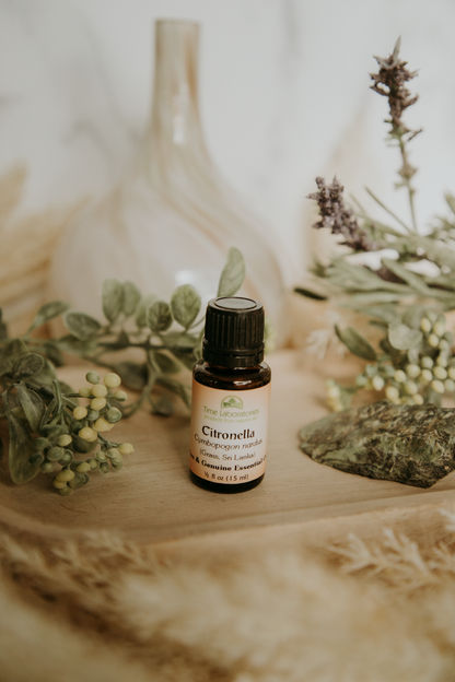 Citronella Essential Oil - High Quality Aromatherapy