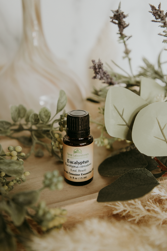 Eucalyptus citriodora Essential Oil - High Quality Aromatherapy