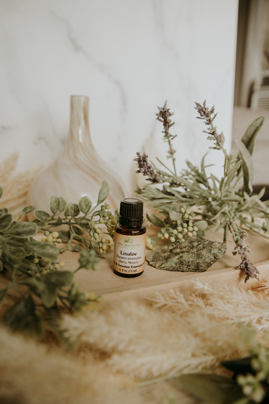 Linaloe Essential Oil - High Quality Aromatherapy