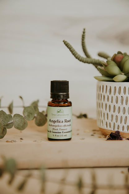 Angelica Root Essential Oil French