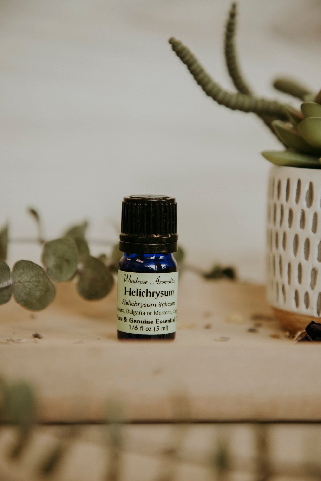 Helichrysum italicum Essential Oil