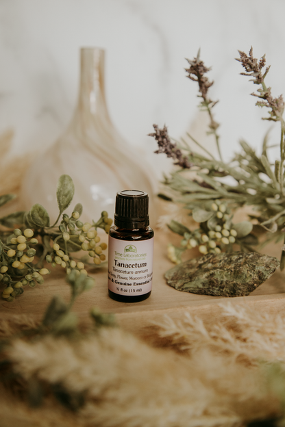 Tannacetum Essential Oil - High Quality Aromatherapy