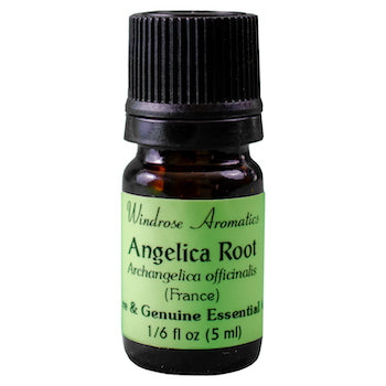 Angelica Root Essential Oil