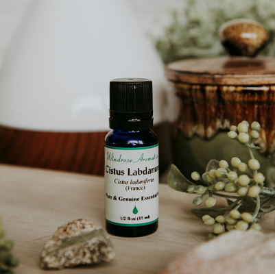 Cistus Labdanum Essential Oil - High Quality Aromatherapy – Time Labs Store