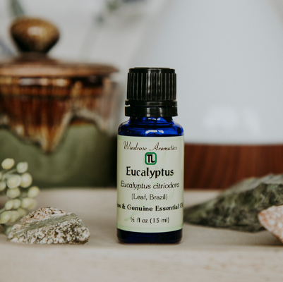 Eucalyptus citriodora Essential Oil