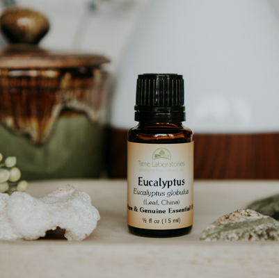 eucalyptus globulas essential oil