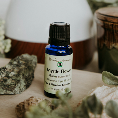 myrtle flower essential oil