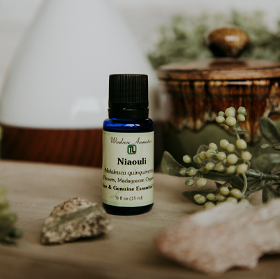 niaouli essential oil