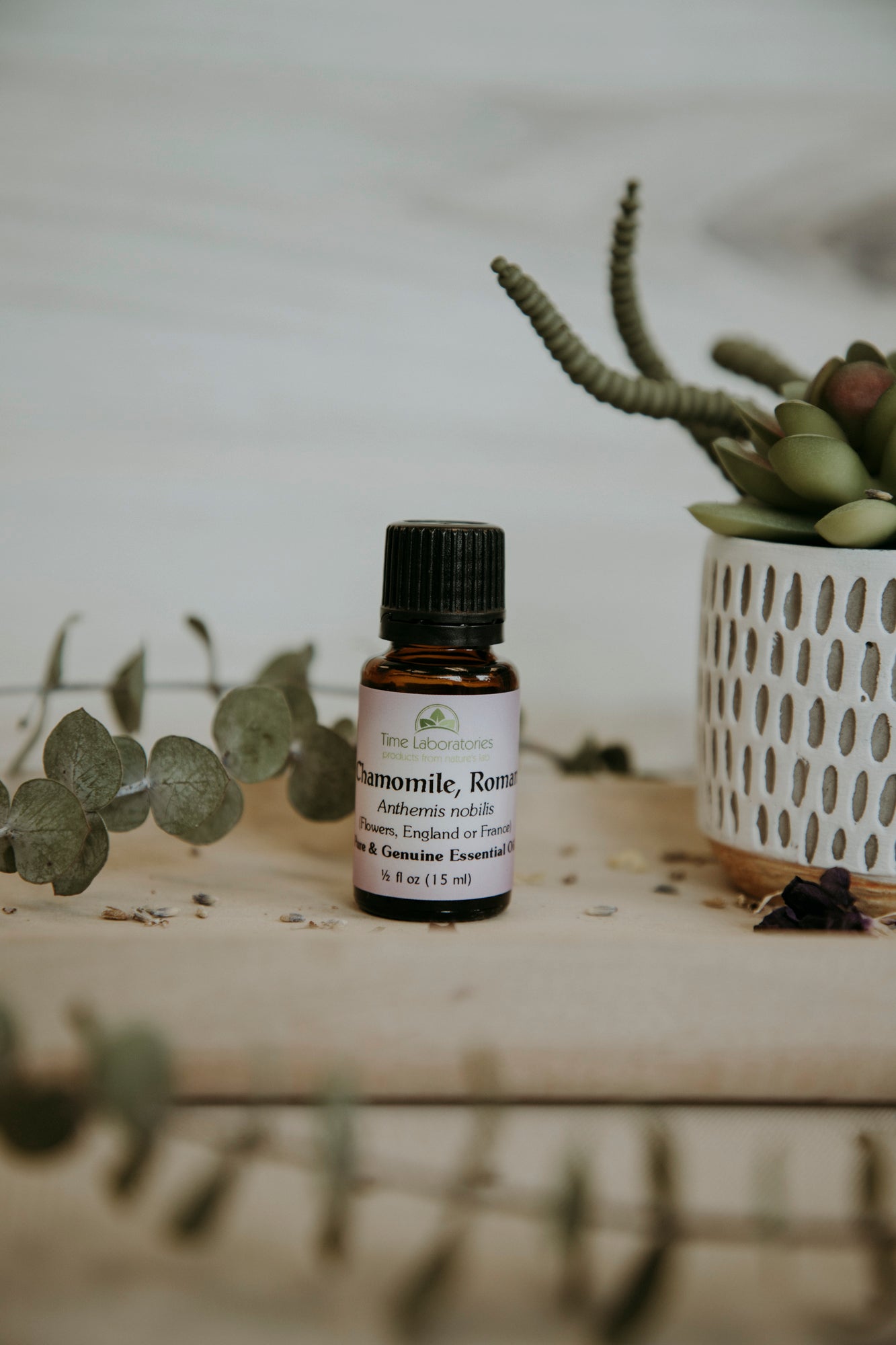 roman chamomile aromatherapy